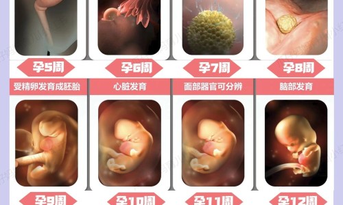 健力多的功能主治网 - 健力多有效果吗,健力多效果太猛了