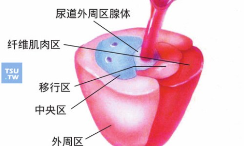 健力多成分及其作用-健力多的功能主治网 - 健力多有效果吗,健力多效果太猛了
