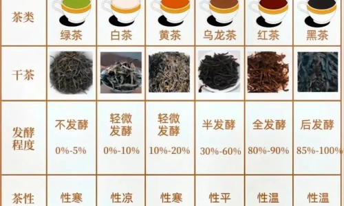 健力多治疗什么病症-健力多的功能主治网 - 健力多有效果吗,健力多效果太猛了